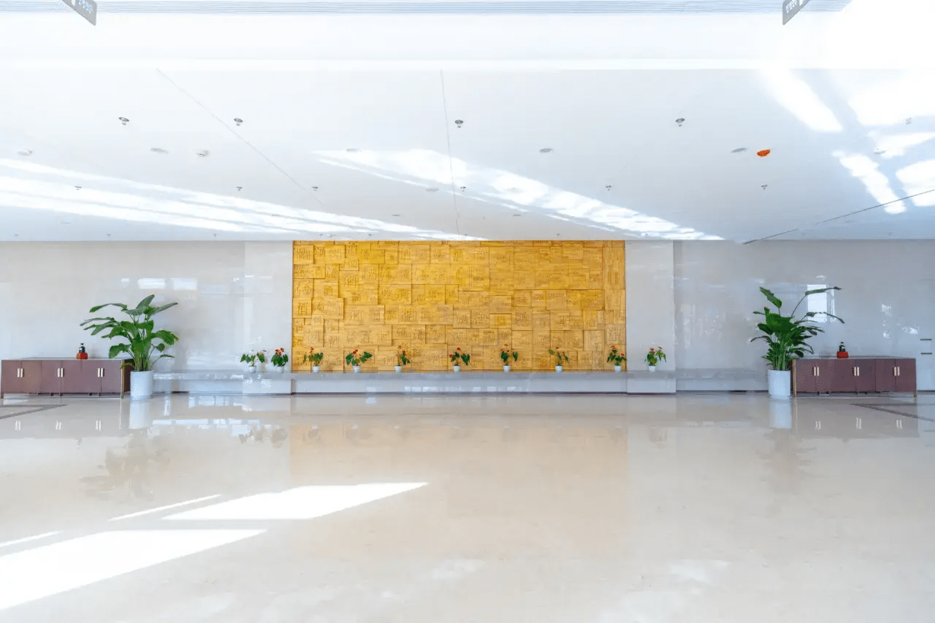 53ffba78d6647498bc38538c96d4c8dc