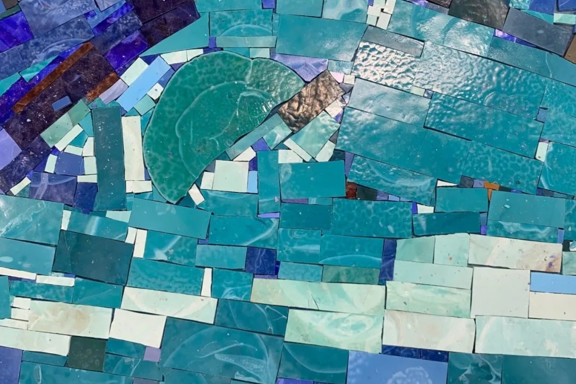 aff919d8480ee6668df99d2c5b689af1